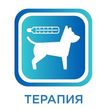 Ветеринарная клиника Зоопульс на проспекте Ленина, 33 фото 2