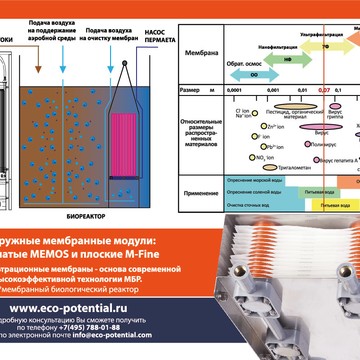 Eco-potential фото 2