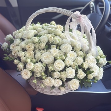 Сантини - 23 фото 1