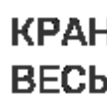Магазин Крановые весы фото 1