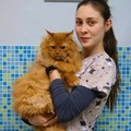 Фотография специалиста Кузнецова Виктория Владимировна