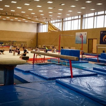 Центр гимнастики Yourways РГУФК фото 1