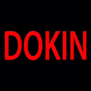 DOKIN - веб-продюссер, создание и продвижение сайтов фото 1