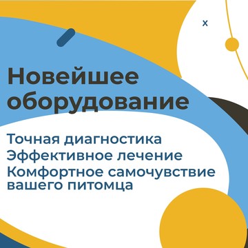 Выездная ветеринарная служба Docktorzoo в Мытищах фото 2
