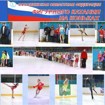 СШОР №24 по хоккею им. Владислава Третьяка фото 1