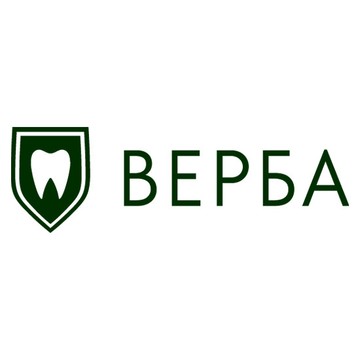 Верба фото 1