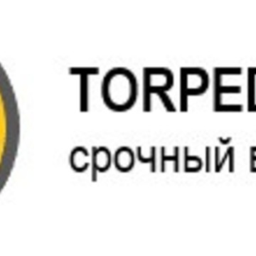 Компания Torpeda66.ru фото 1