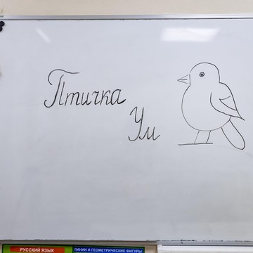 Птичка Ум фото 1