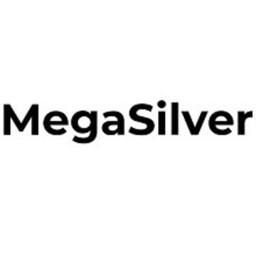 MegaSilver фото 1