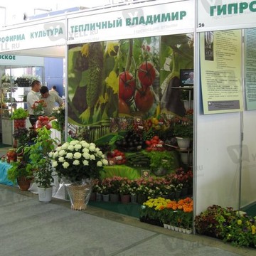 Тепличный, ГУП Тепличный комбинат на улице Гагарина фото 2