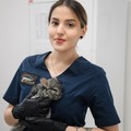 Фотография специалиста Кочетова Софья Юрьевна