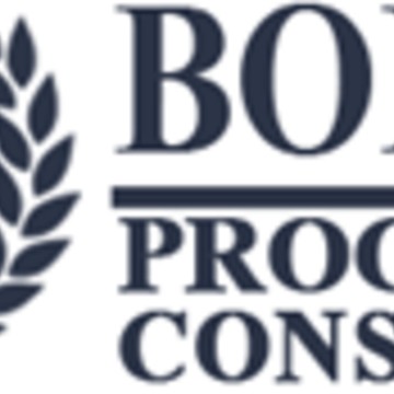 Borius Program&amp;Consulting фото 1