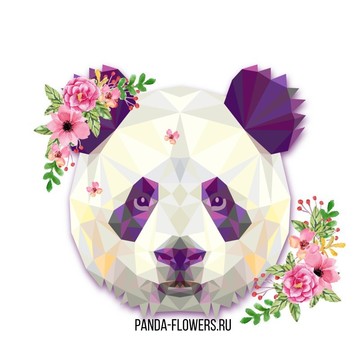 PANDA FLOWERS фото 1