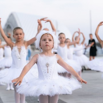 Мастерская балета Егора Симачева на метро Ломоносовский проспект фото 2