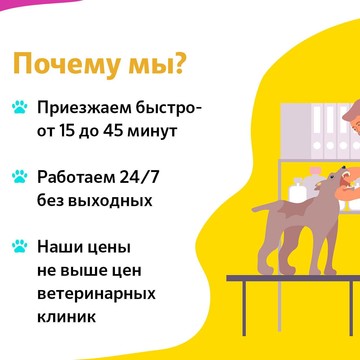 Вета в Клину фото 3