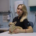 Фотография специалиста Маслова Светлана Александровна