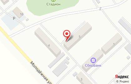 Продуктовый магазин на Молодёжной улице на карте