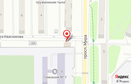 Продуктовый магазин, ООО Альянс-96 на улице Мира на карте