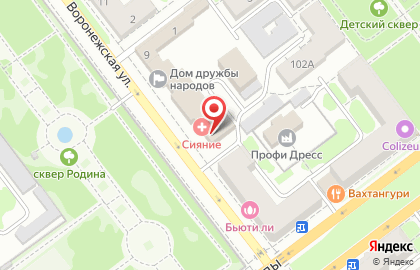 Ветеринарная клиника Друг на Воронежской улице на карте
