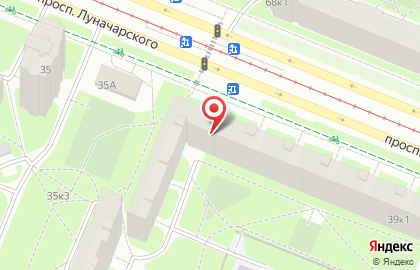 Груминг кошек, стрижка кошек и котов на дому. на карте