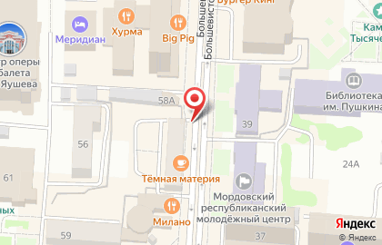 Медведица на Большевистской улице на карте