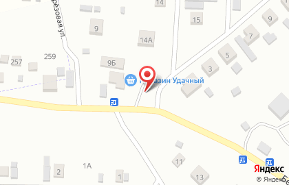 Продовольственный магазин Удачный на Берёзовой улице на карте