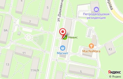 Аптека Невис на улице Дашкевича на карте