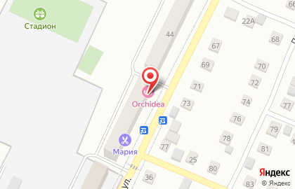 Студия красоты Orchidea на карте