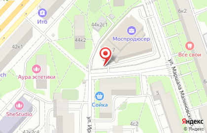 Продуктовый магазин на ул. Ирины Левченко на карте