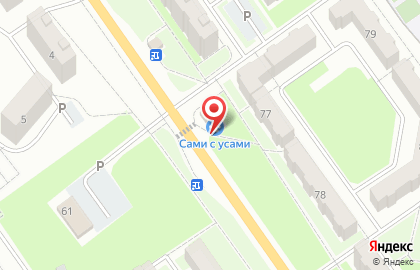 Ветеринарная клиника в Кемерово на карте