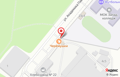 Магазин Хлебозавод №22 на улице Академика Павлова на карте