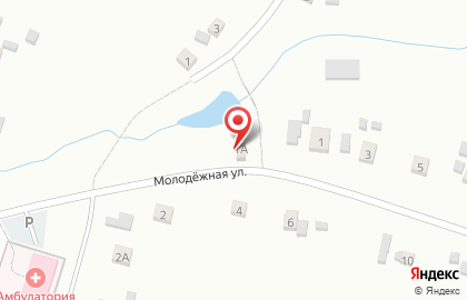 Продуктовый магазин на Молодёжной улице на карте