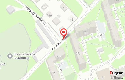 Alleya_psk на карте