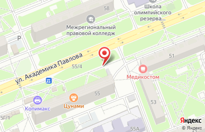 Игрушка на улице Академика Павлова на карте