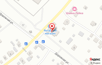 Универсальный магазин Янтарный в Железнодорожном районе на карте