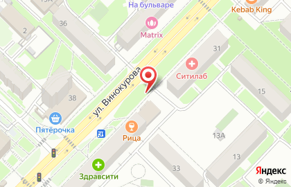 Киоск по продаже овощей, фруктов на улице Винокурова на карте