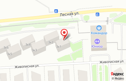 Удачный, микрорайон, ООО ИНКОМ-Недвижимость-Красноярск на Живописной улице на карте