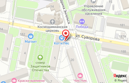 Зоомагазин Кот и Пёс на улице Суворова на карте