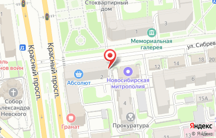 Официальный BSS-дилер Bosch Мера на Красном проспекте на карте