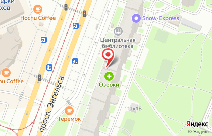 Аптека Озерки в Озерках на карте
