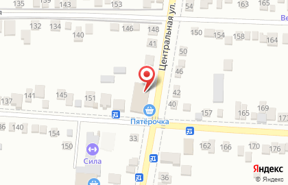 Зоомагазин Пернатые друзья на Центральной улице на карте