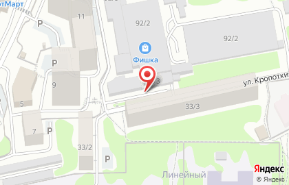 Группа охранных предприятий Дружина-Пересвет на карте