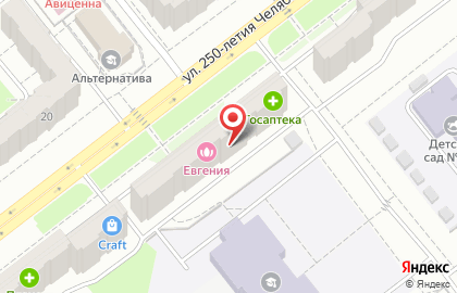 Многопрофильное агентство Show-service на улице 250-летия Челябинска на карте