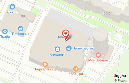 Енот на улице Ленинский на карте