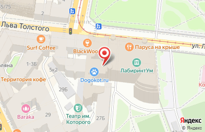 Единый Визовый Центр на ул.Льва Толстого на карте