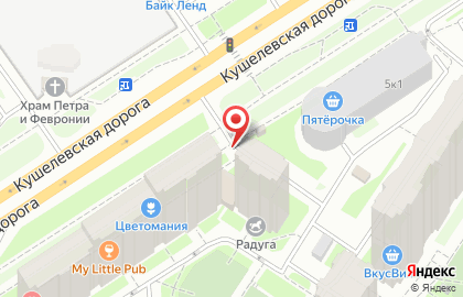 Клининг проект на Кушелевской дороге на карте