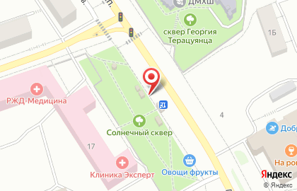 Камелия на Первомайском проспекте на карте