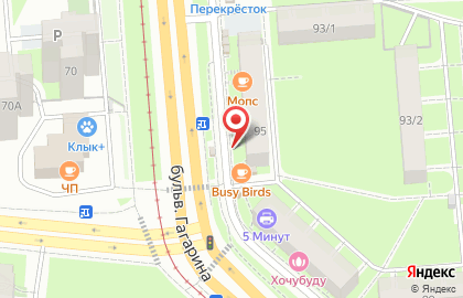 Магазин цветов и подарков Цветы от лесоруба в Мотовилихинском районе на карте