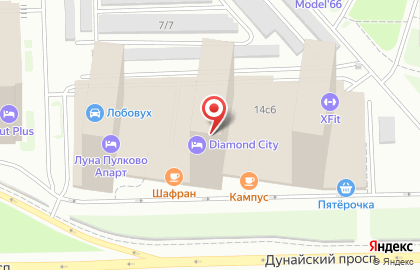 Я БОЛЬШОЙ на Пулковском шоссе на карте