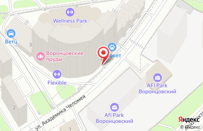 Plaex.ru - аутсорсинговая компания на карте